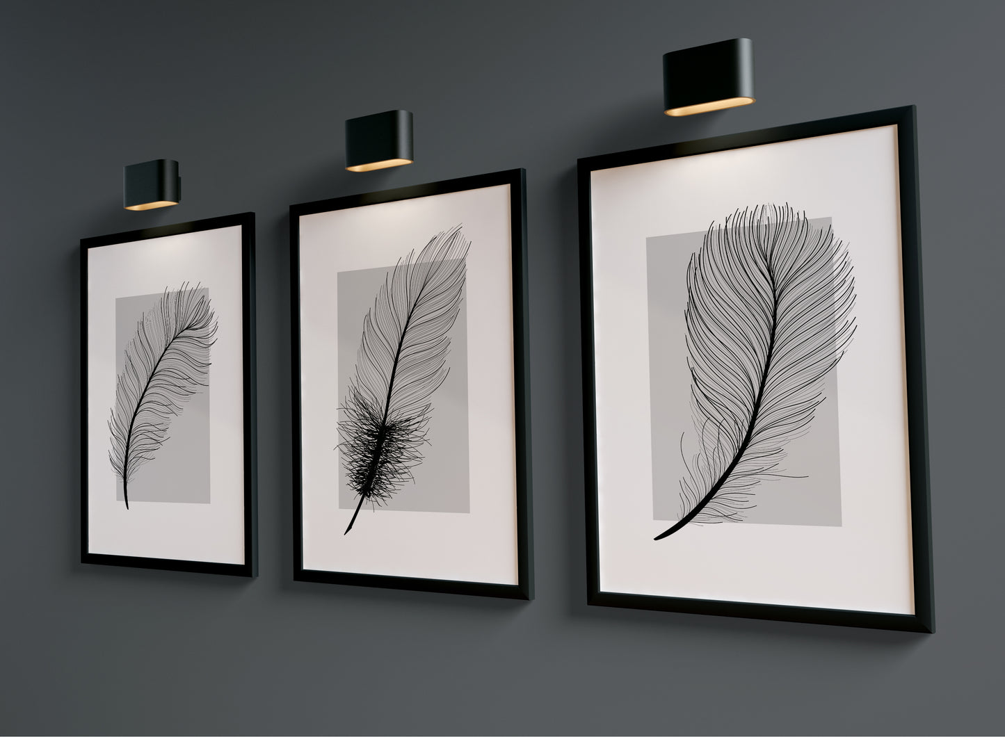 Set of 3 Grey Feather Wall Prints