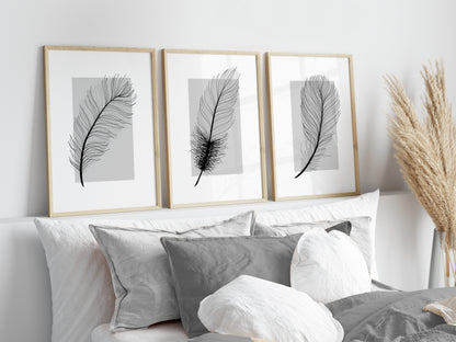 Set of 3 Grey Feather Wall Prints