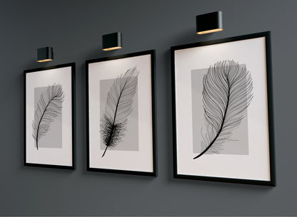 Set of 3 Grey Feather Wall Prints
